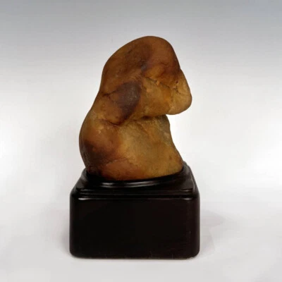 GONGSHI CHINO ERUDITO ROCA CERA AMARILLA EDAD INDETERMINADA MADERA BASE CHINA Foto 1 de 4