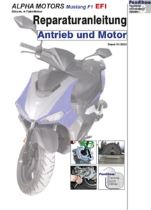 Reparaturanleitung RIS Alpha Motors Mustang FI 50, EFI, Antrieb und Motor - Bild 1 von 3