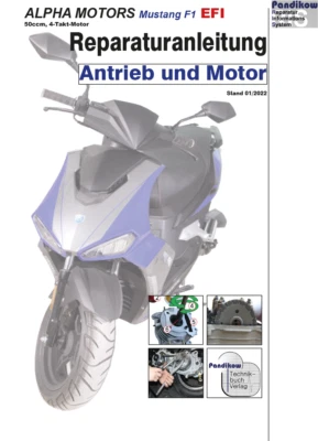 Reparaturanleitung RIS Alpha Motors Mustang FI 50, EFI, Antrieb und Motor - Bild 1 von 3