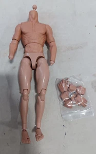 Custom ZC Toys 1/6 Scale 12" Nude Body with Pair of Feet and Hand Sets JB-112 - Picture 1 of 2