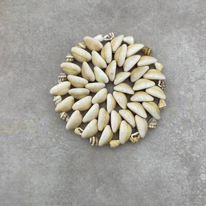 Posavasos Puka Cowrie Seashell Vintage Playa Boho Decoración Hogar Costero 4 Pulgadas Regalo - Imagen 1 de 6