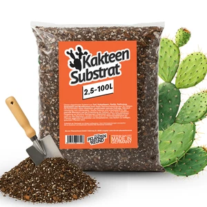 Premium Kakteen Substrat – Spezialerde für Kakteen, Sukkulenten & andere Wüstenp - Bild 1 von 7
