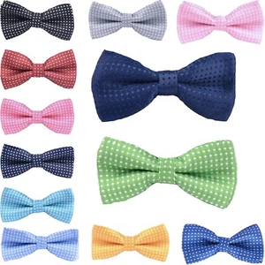 Fliege Schleife Schlips Anzug Bow Tie Fliege Punkte Polka Dot Hochzeit Feier JGA - Bild 1 von 14