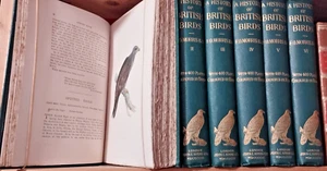 F. O. MORRIS/ HISTORY OF BRITISH BIRDS/ OISEAUX D'ANGLETERRE/ 400 planches/1903 - Imagen 1 de 21