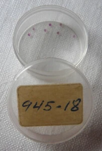 NOS New Citizen 945-18 945 18 Lower Cap Jewel for Escape Wheel - Imagen 1 de 1