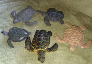 Sea Turtles - 5 AAA Replicas - Realistic PVC - Picture 1 of 7