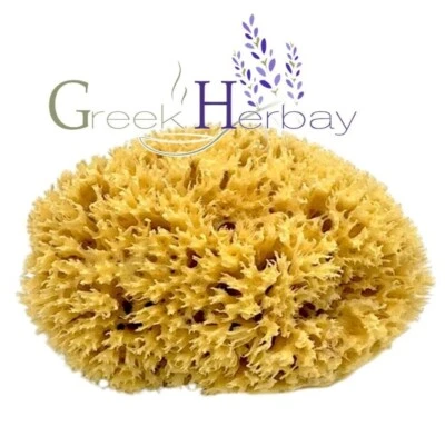 Натуральная высушенная греческая морская губка неотбеленная 5,0–5,50 дюйма (12–14 см) калимнос - Изображение 1 из 2