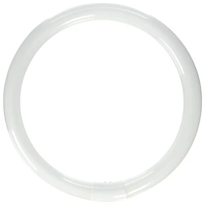 T9 Circline Flourescent Lamp - Cool White - 4-Pin - 32W - 4100K - SATCO-S6503 - Image 1 of 4