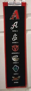 Reno Aces Jackson Generals Kane County Cougars Rawhide Hillsboro Hops Banner - Picture 1 of 4
