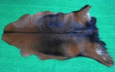 GOAT Western taxidermy Hide Rug Natural Pattern Fur Goat Hide Rode SA-1239 - Image 1 of 3