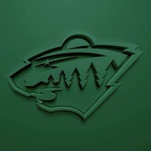 2018-19 Minnesota Wild Hockey Face Off For Fitness Team Issued Trading Cards NHL - Picture 1 of 6
