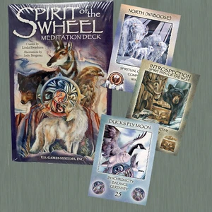 SPIRIT OF THE WHEEL MEDITATIONSDECK URALTE HEILENERGIE von LINDA EWASHINA - Bild 1 von 9