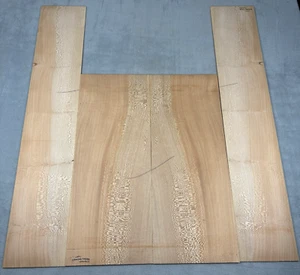 Chitarra acustica Sycamore Tonewood Bookmatched Back Sides costruire liutaio - Foto 1 di 14