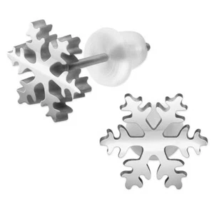 1 Paar Edelstahl Schneeflocken Ohrstecker Kristall Schnee Winter Ohrschmuck - Bild 1 von 2