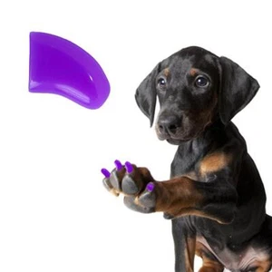 GRAPE ~ 60 PIECE Soft Nail Caps for DOG Claws ~ PRETTY CLAWS ~ Paws Off - Imagen 1 de 1