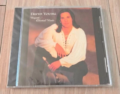 Beyond... Celestial Winds by David Young (Flute/Recorder) (CD, 1997) - NEW Foto 1 de 3
