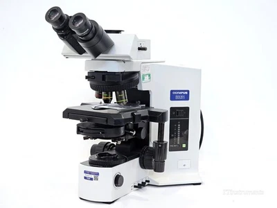 Olympus BX51TF Upright  Fluorescence Microscope w/ Light Source + Objectives — 第 1/4 张图片