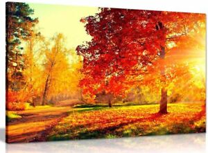 Autumn Scene Trees And Leaves In Sun Light Canvas Wall Art Picture Print