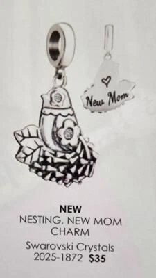 Chamilia ~ NESTING 新妈妈 ~ 透明 Swarovoski & 纯银悬垂珠 2025 - 1872 年 35 美元 — 第 1/4 张图片