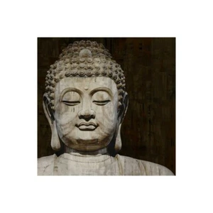 Stampa su Tela su Carta Poster o Quadro Bray Tom Meditative II - Picture 1 of 2