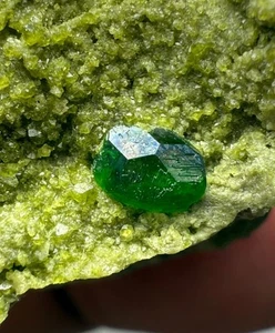 241 CT Ultra Raro Top Verde Demantoide Granate Cristales En Matriz De Pakistán - Imagen 1 de 10