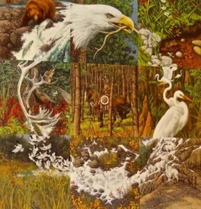 Bev Doolittle, Secret Circle, Artist Proof 5/50, Signed by Artist - Picture 1 of 1