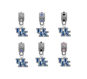 Kentucky Wildcats College European Euro Crystal Charm for Bracelet Necklace Bead - Picture 1 of 1