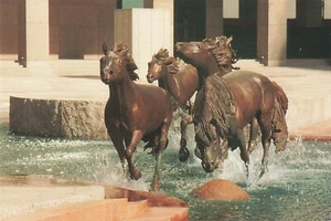 Las Colinas Mustangs Equestrian Sculpture Robert Glen Close Up Vintage Postcard - Picture 1 of 2
