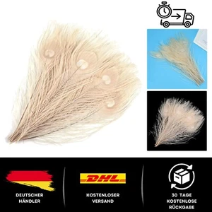 Echte Pfauenfedern in Weiß - 15 Stück für kreative Projekte & Dekoration - Bild 1 von 10