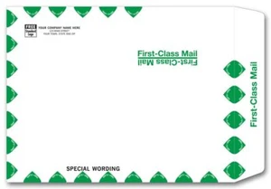 1013FW White First Class Envelope 10 x 13" QTY 100 - Picture 1 of 1