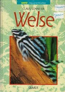 Welse von Claus Schaefer - Bild 1 von 1