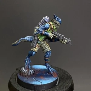 Infinity Libertos Freedom FightersPresale Painted Gallery Army Miniature model - Picture 1 of 6