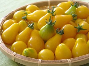 TOMATENGELBE BIRNE / KIRSCHGLOCKE - 120 SAMEN GENTECHNIKFREI - SELTEN - BIO - Bild 1 von 2