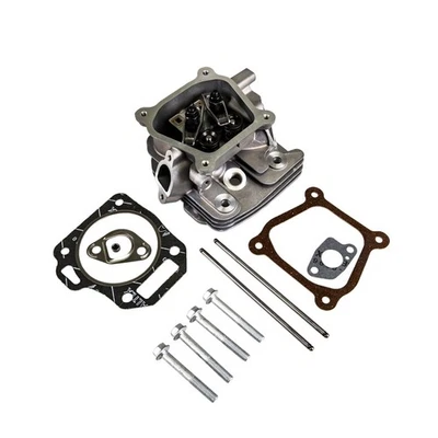 Conjunto de culata Ariens 20001256 con junta Gravely Deluxe Platinum Snow Foto 1 de 2