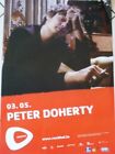 Peter Doherty  70x100cm Affiche Originale Concert