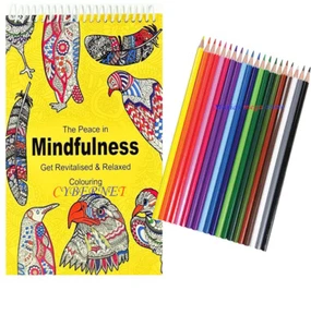 Adult Anti Stress Therapy Spiral Colouring Book + 18 PREMIUM COLOURING PENCILS - Picture 1 of 10