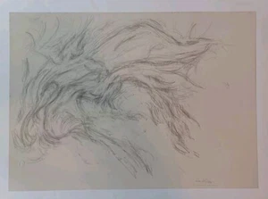 ALBERTO GIACOMETTI LITOGRAFIA EINAUDI FOTOLITOGRAFIA TIMBRO A SECCO LES ALPES - Imagen 1 de 4