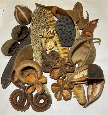 Pick and Mix Aquarium Botanicals. Savu Pod, Leaves, Seeds and more!