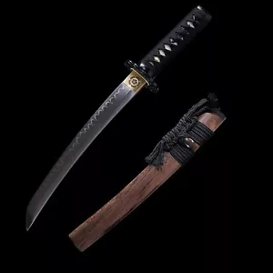 Katana Tanto Short Sword Clay Tempered T10 Real Hamon Samurai Sword Razor Sharp - Picture 1 of 11