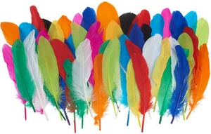 Mezcla de plumas indias 50 unidades - Imagen 1 de 2