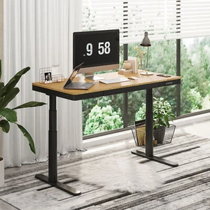 FlexiSpot Dual Motor 55" Bamboo Desktop Electric Standing Desk Wireless Charging - Picture 1 of 53