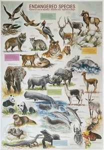 Gefährdete Arten Vintage Hobby Poster 27 x 39 - Bild 1 von 1