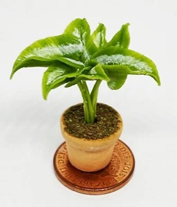 Maison de poupées plante verte unique dans un pot échelle 1:12 jardin miniature P19 tumdee - Photo 1/7