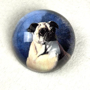 FIRMATO! Fermacarte vintage 1994 Durwin Rice Pablo Pug cane decoupage cupola vetro - Foto 1 di 7
