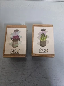 Pico A Garden In Your Palm 2 Stück Neu & Versiegelt - Bild 1 von 2