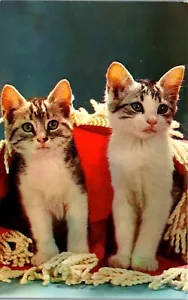 Par de lindos saludos de gatitos postales vintage de gato de Middleport OH en la parte posterior - Imagen 1 de 3
