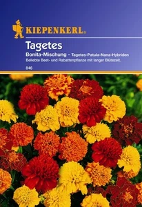 TAGETES Bonita-mischung Blumen Studentenblume Stauden ca. 40 Samen - Bild 1 von 5