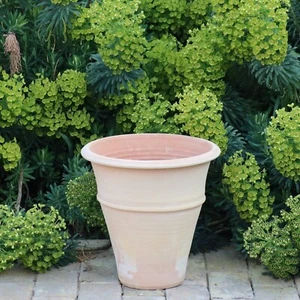 handgefertigtes Terracotta Pflanzgefäß, frostfester Pflanzkübel Yucca 30 cm - Bild 1 von 12
