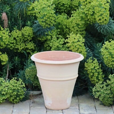 handgefertigtes Terracotta Pflanzgefäß, frostfester Pflanzkübel Yucca 30 cm - Bild 1 von 4