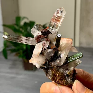 108G Natural white Crystal quartz cluster verdelite mineralsls symbiosis - Picture 1 of 19